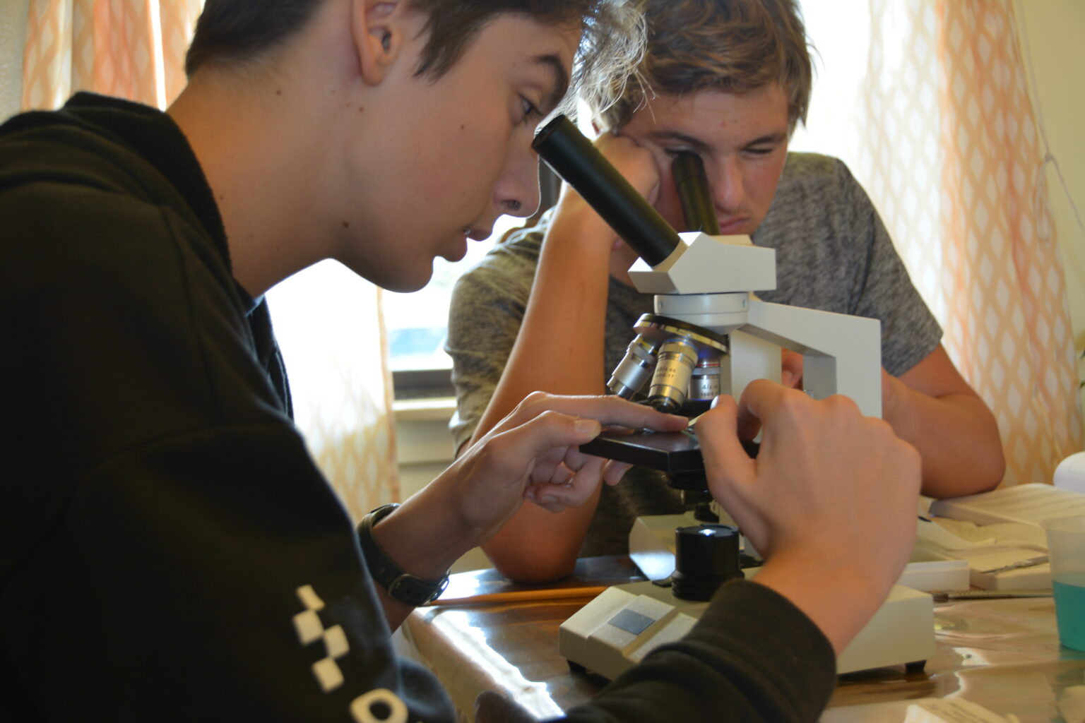 Lab Rat Academy Motivating and inspiring students in the fields of