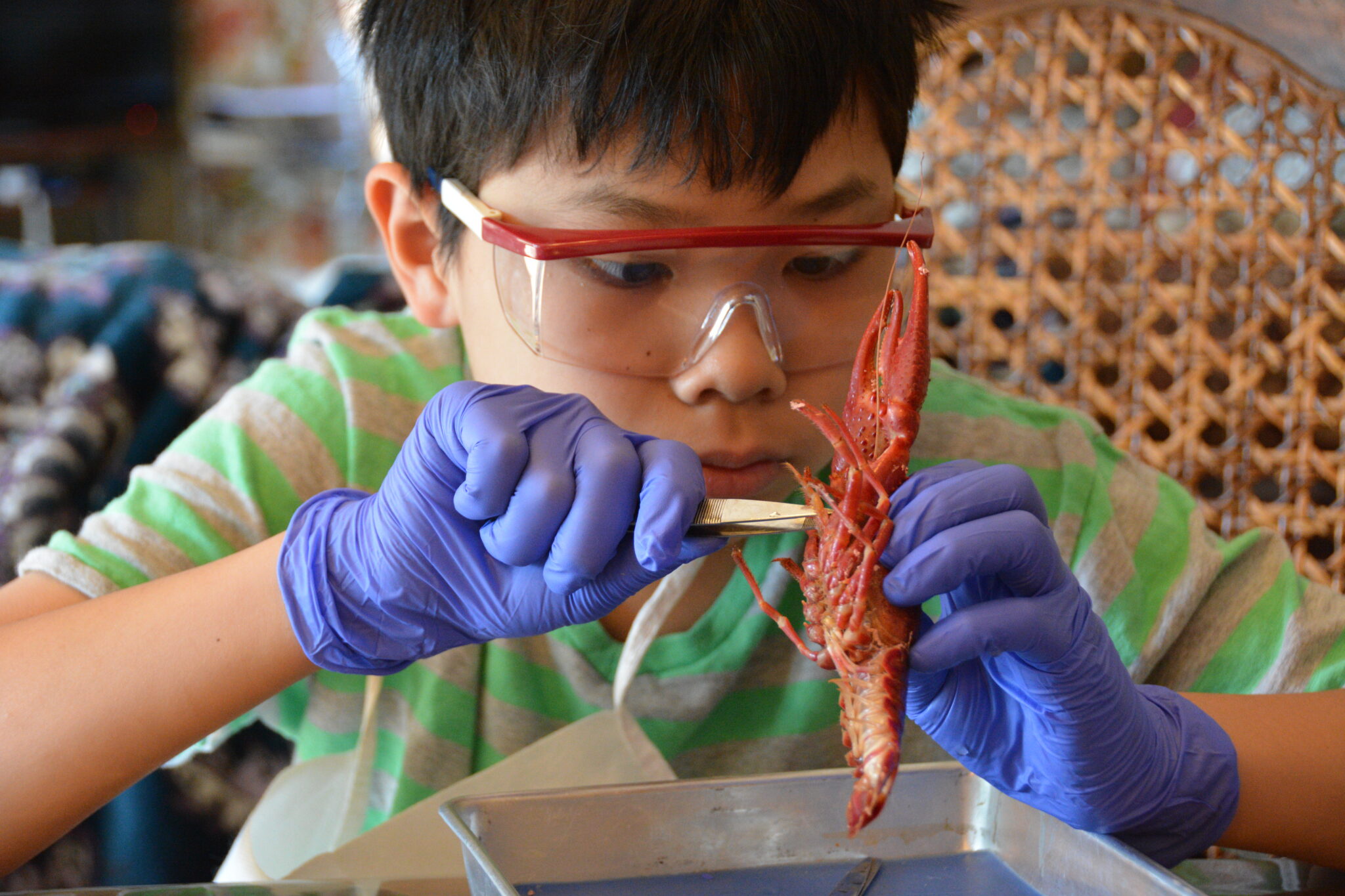 Lab Rat Academy Motivating and inspiring students in the fields of