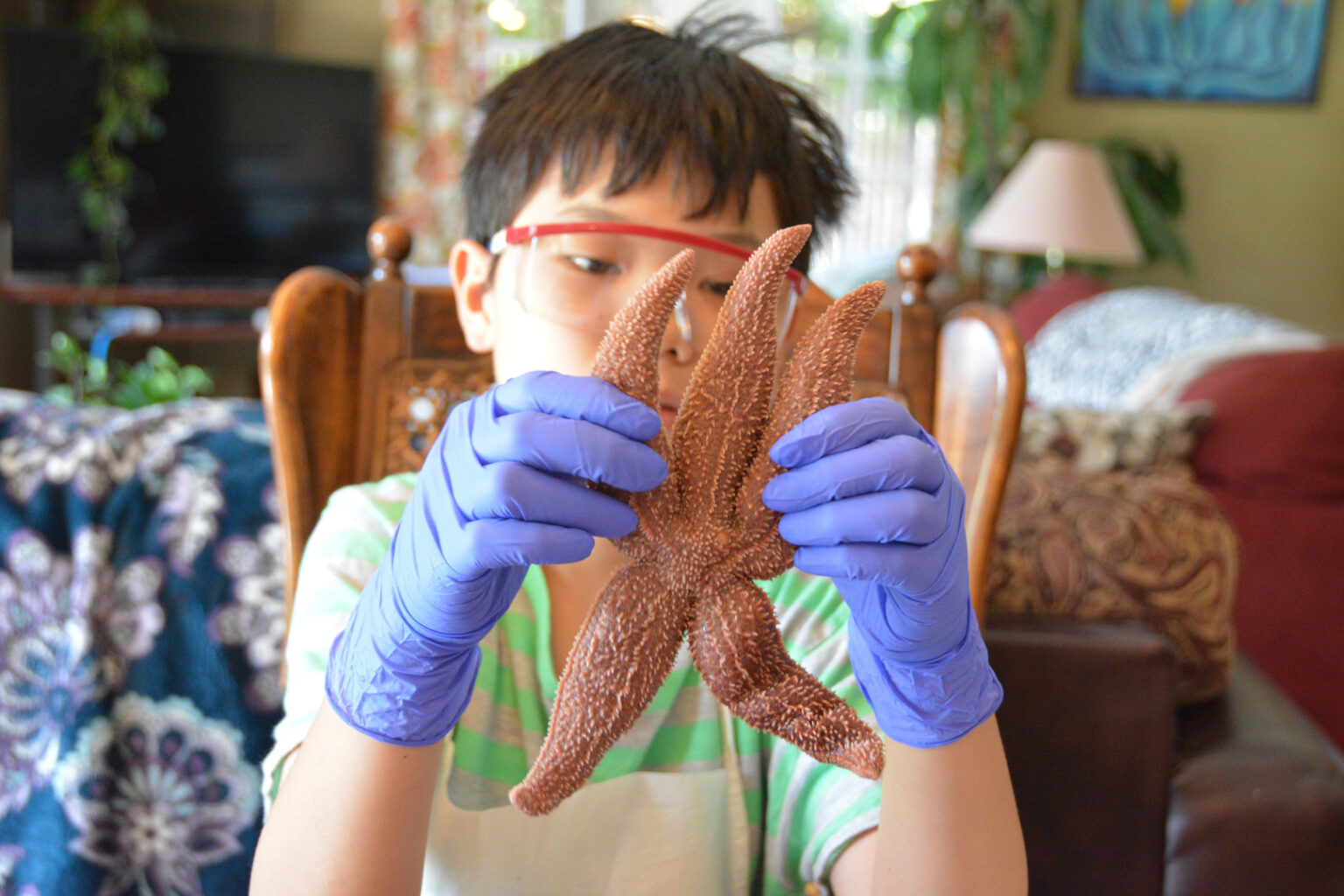 Lab Rat Academy Motivating and inspiring students in the fields of