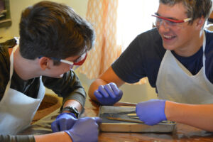 High Schoolers dissecting earthworm