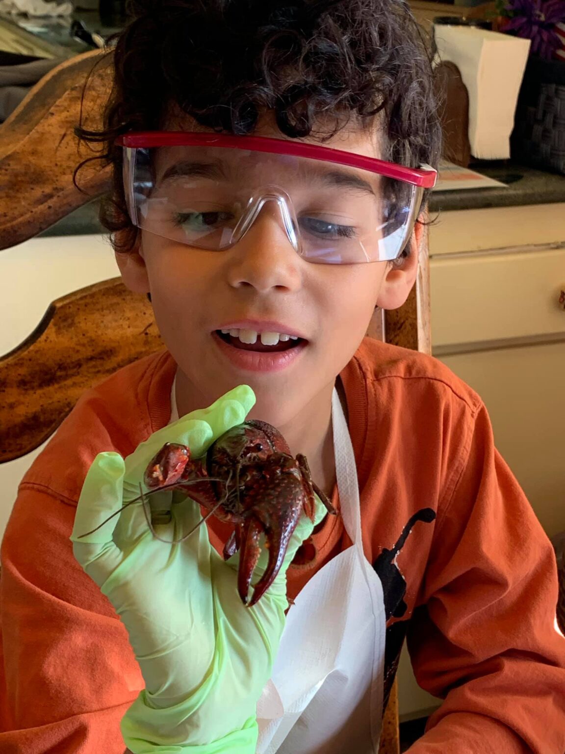 Basic Anatomy Lab Lab Rat Academy