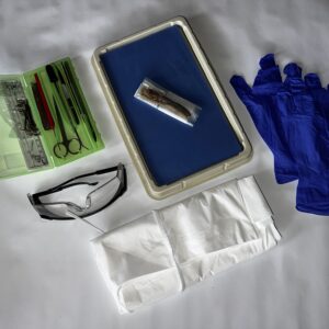 Ultimate Earthworm Dissection With Double Student Kit