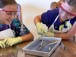 Homeschool girls dissecting worm