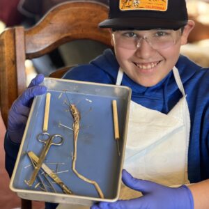 Homeschooling Earthworm Dissection
