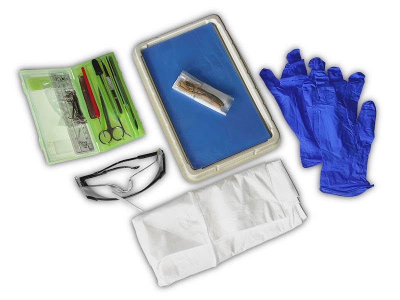 Earthworm Dissection Kit Items